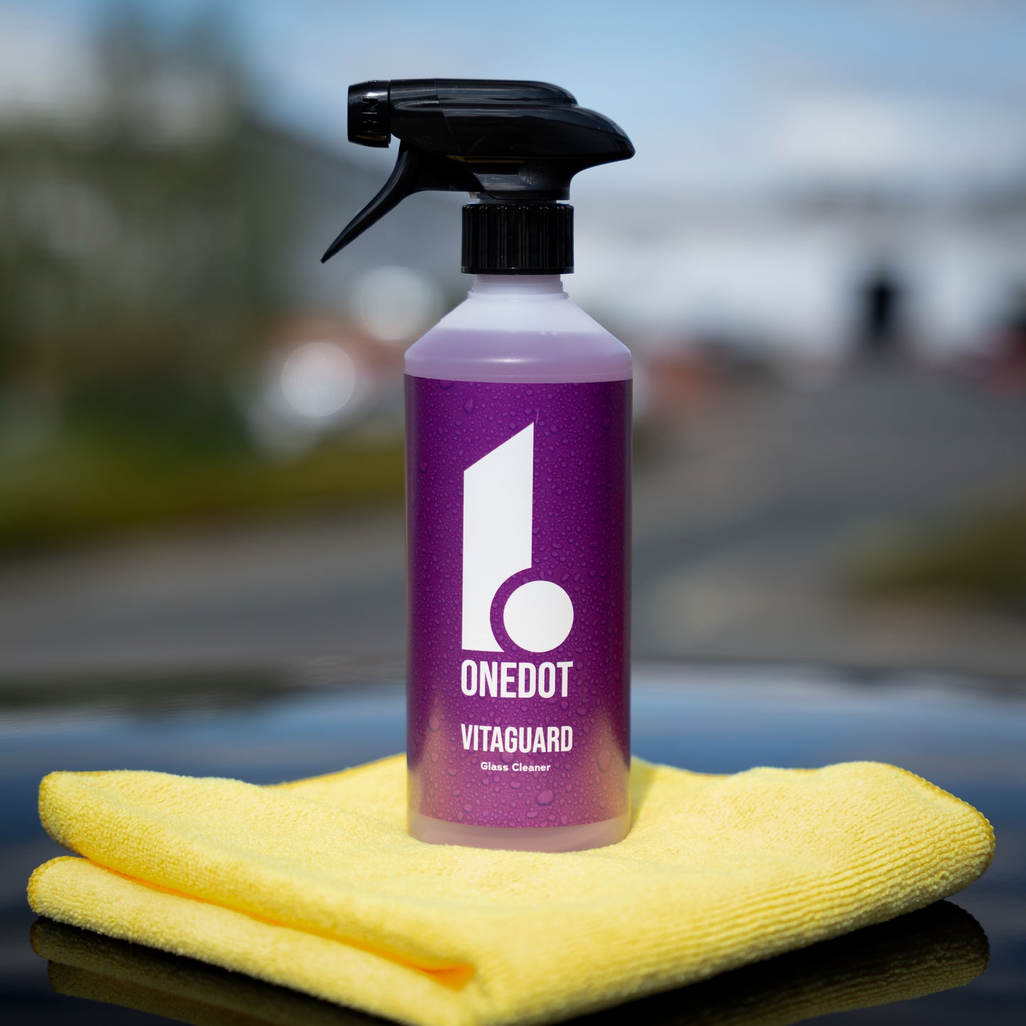 VITAGUARD | Glass Cleaner